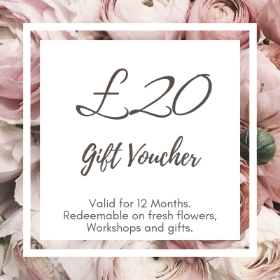 £20 Voucher